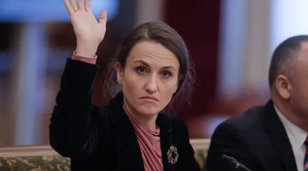 oana toiu chemata in comisia de politica externa pentru clarificari privind repatrierea romanilor din orientul mijlociu