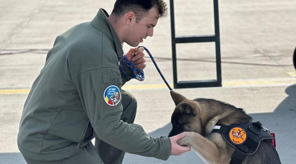 un pilot de la baza aeriana campia turzii a murit tragic la doar 30 de ani in timp ce incerca sa salveze un caine