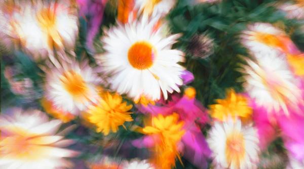 primavara incepe simbolic vineri 20 martie ce este echinoctiul de primavara si ce sa faci in aceasta zi ca sa ai noroc de bani