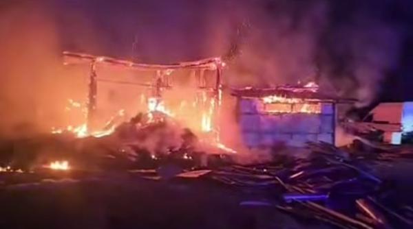 49 de animale au murit intr un incendiu in dambovita tudor tim ionescu daca nu intervenim la sursa vom continua sa gestionam consecintele si nu cauzele