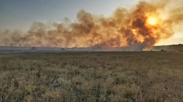 incendiu de amploare in judetul sibiu ard 100 de hectare de vegetatie uscata