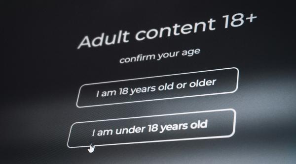 avertismentul unui avocat explozie de imagini ilegale pe fondul planurilor openai pentru chatgpt