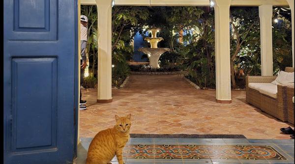 o romanca descrie ce se intampla astazi in cuba intre doua pene de curent linistea asta ascunde multa resemnare lipsa petrolului a lovit in multe directii