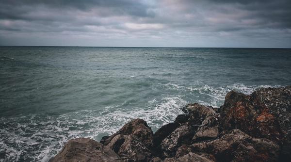un monstru marin lung de 6 metri descoperit in mexic nu exista nimic mai mare sau mai periculos decat el foto