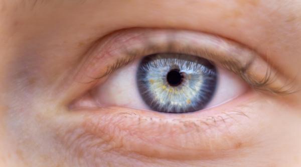 vezi pete sau linii in campul vizual cand trebuie sa mergi la medic