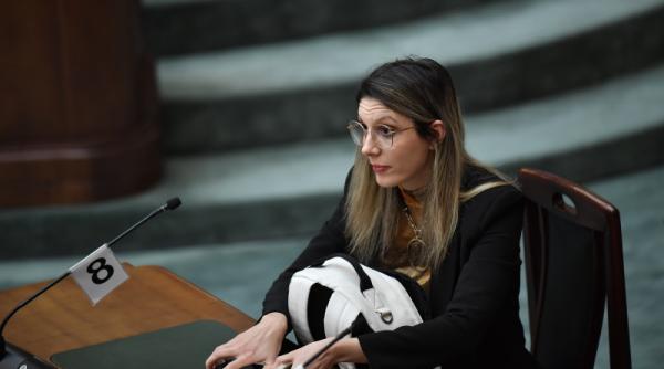 diana buzoianu a propus modificarea codului penal privind hartuirea sexuala