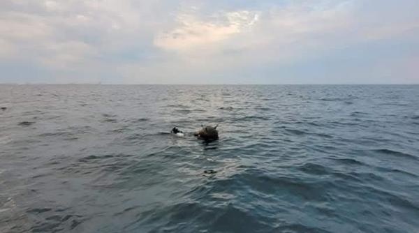 mapn acuza rusia ca distorsioneaza realitatea precizari privind minele din marea neagra