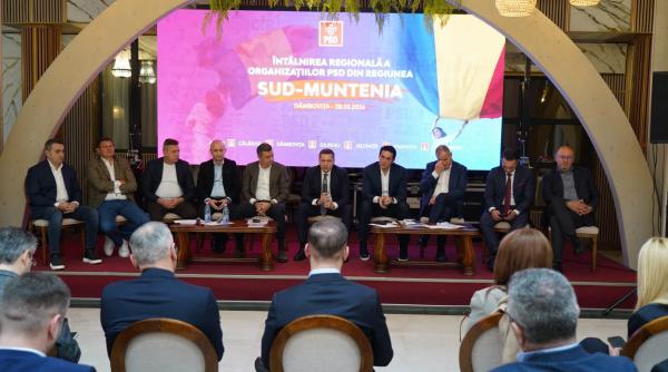 corneliu stefan psd sa ramana o voce puternica in marile decizii politice