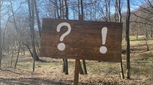 sondaj curs topul partidelor psd 24 si pnl 16