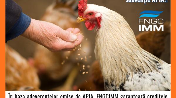 fngcimm continua si in 2026 sprijinul pentru fermieri acces mai usor la credite garantate