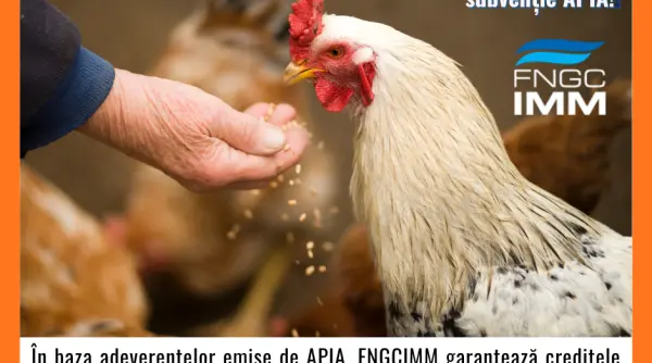 fngcimm continua si in 2026 sprijinul pentru fermieri acces mai usor la credite garantate