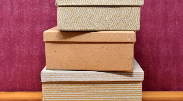 de ce nu e indicat sa tii banii in cutiile de pantofi iancu guda vine cu o alta propunere dupa cazul sefului arr