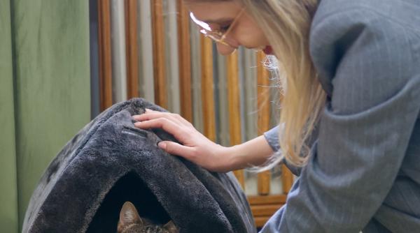 diana buzoianu a adoptat o pisica va locui in sediul ministerului mediului foto