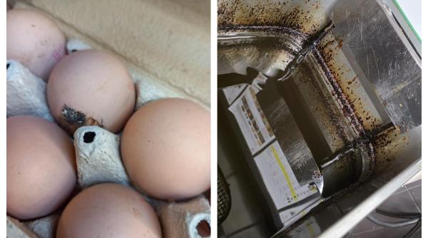 anpc a efectuat controale in piete inainte de paste amenzi de peste un milion de euro intr o singura saptamana foto