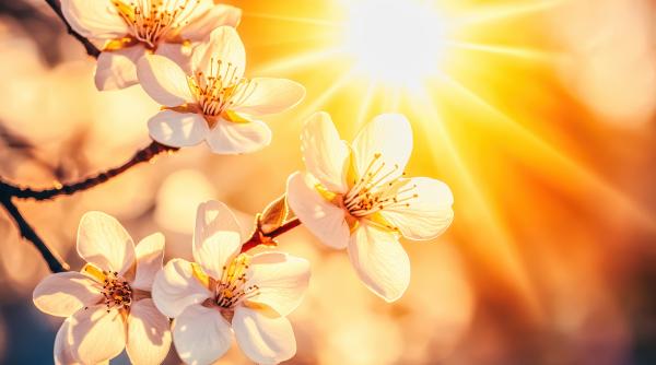 horoscop 5 aprilie 2026 astrolog daniela simulescu previziunile pentru toate zodiile