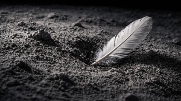 o pana pe luna explicatia fotografiei realizate de nasa