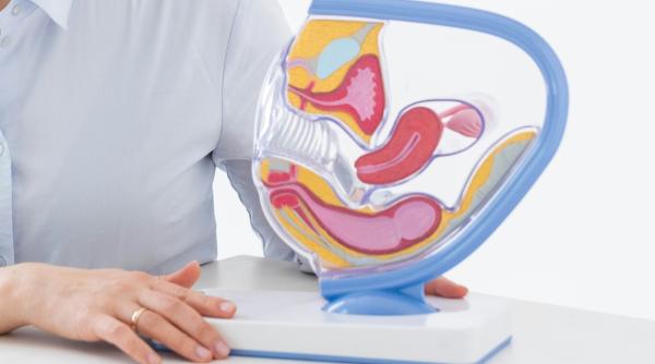 ai grija la aceasta infectie cu transmitere sexuala este rezistenta la antibiotice