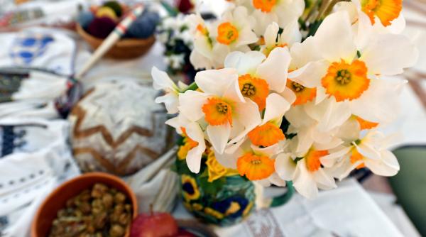 plante pe care oricine le poate avea in casa si care pot deveni foarte periculoase