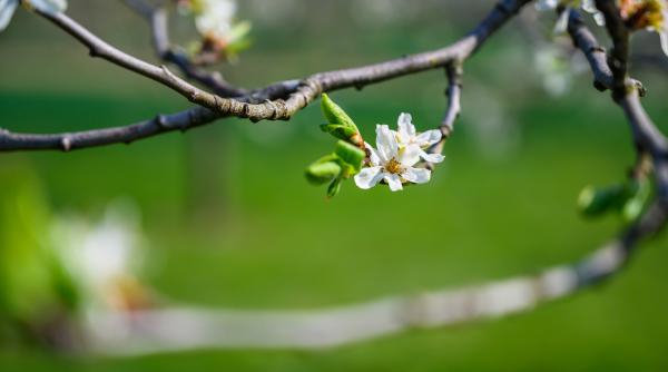vreme schimbatoare in intreaga tara saptamana viitoare anm racire accentuata dupa 21 aprilie