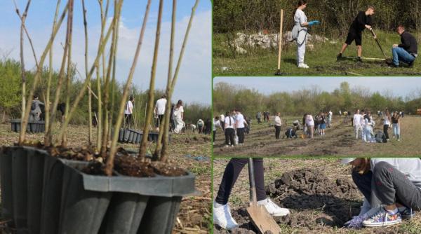 viitorul prinde radacini la otopeni sute de elevi au transformat o zi de voluntariat intr o lectie vie de ecologie plantand copaci foto si video