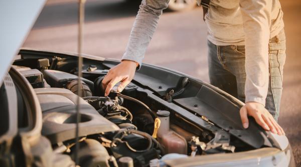 sarpe de 1 5 metri scos de jandarmi din compartimentul motor al unei masini