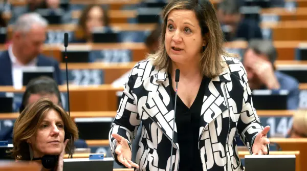 lidera grupului s d din parlamentul european spune ca a primit asigurari de la grindeanu ca partidul nu va forma un guvern cu extrema dreapta
