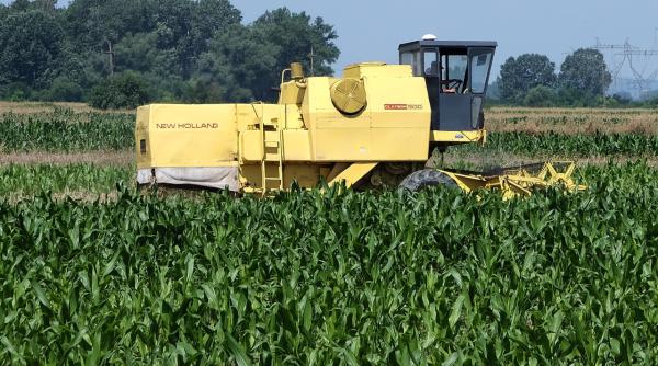 subventii pentru fermieri de peste 900 de milioane de lei aprobate de guvern