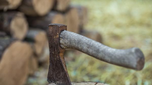 barbat condamnat in trecut pentru crima anchetat pentru tentativa de omor si a lovit victima cu toporul in cap