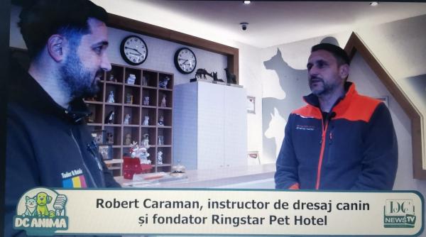tot ce trebuie sa stii despre pet hoteluri robert caraman invitat la dc anima video