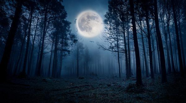 horoscop 1 mai 2026 luna plina in scorpion astrolog daniela simulescu previziuni toate zodiile