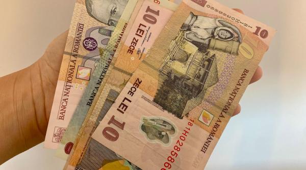 proiect udmr alocatia scade la 100 de lei de la 292