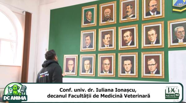 descopera culisele facultatii de medicina veterinara la dc anima
