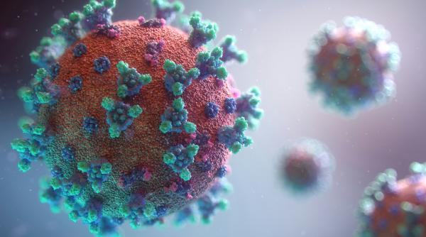 nu s a detectat hantavirus la femeia din germania internata in dusseldorf