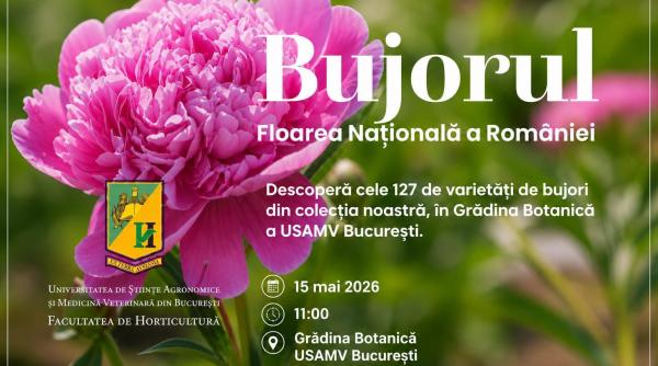 bujorul floarea nationala a romaniei eveniment special la gradina botanica usamv bucuresti
