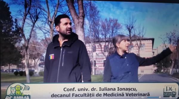 descopera campusul facultatii de medicina veterinara la dc anima cu iuliana ionascu video