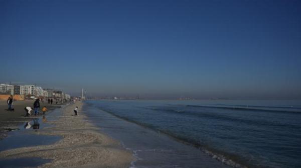 ce se intampla pe litoralul marii negre de ce sa mai venim la mare se cere dezmintirea informatiilor alarmiste privind mamaia