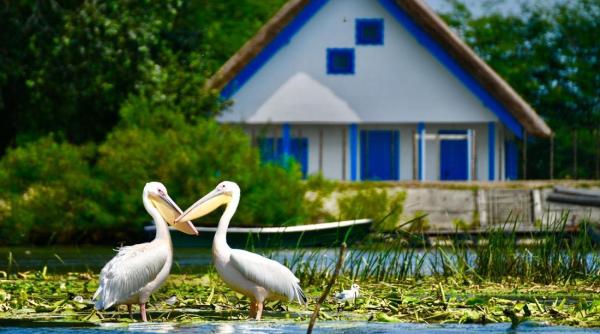 exploreaza delta dunarii paradisul ascuns care atrage din ce in ce mai multi vizitatori