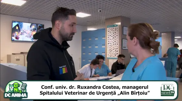 dc anima in inima facultatii de medicina veterinara ruxandra costea invitat special