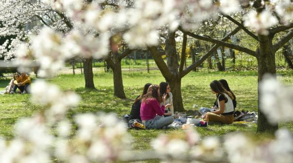 anm prognoza meteo actualizata pentru urmatoarele 4 saptamani cum va fi vremea pana pe 22 iunie