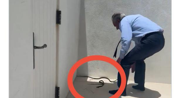 secretarul american al sanatatii filmat in timp ce incerca sa prinda cu mainile goale doi serpi care incercau sa l muste video