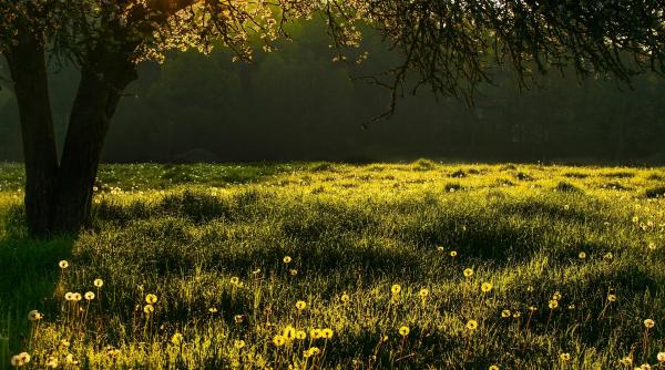 vremea in primele zile din vara 2026 florinela georgescu anm pentru dc news temperaturi mai scazute fond atmosferic rece