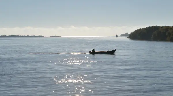 viteza de navigatie in delta dunarii limitata la 5 km h proiectul a fost adoptat de senat