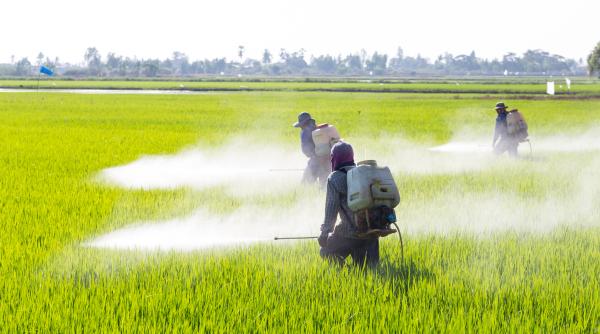 alimentele contaminate provoaca 1 5 milioane de decese anual in lume anunta oms