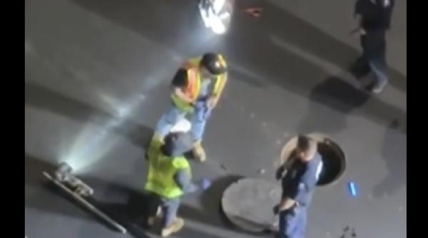 dupa pisicile din cluj apar si ninja in brooklyn cine ar fi barbatii testoase ninja care intra in canalizari noaptea si cauta comori video