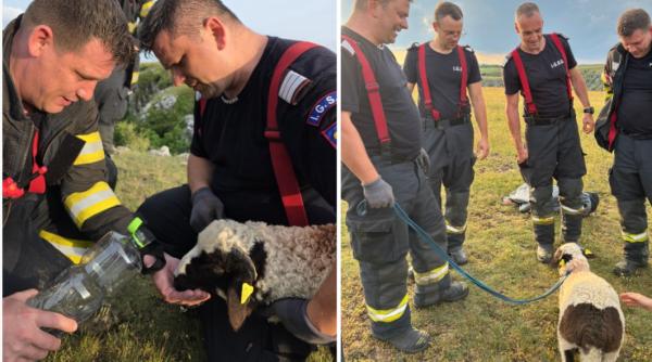 Intervenție spectaculoasă în Cheile Turenilor, județul Cluj: Miel salvat de la înălțime de pompieri