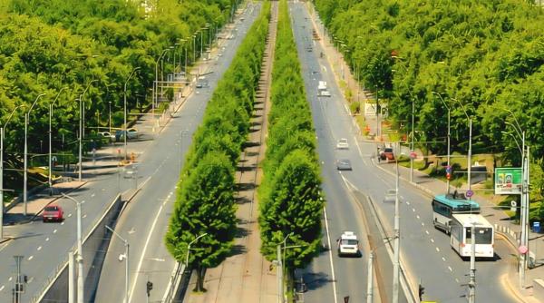 incep lucrarile la scuarul central al caii vacaresti primaria sectorului 4 peste 300 de arbori vor reduce poluarea zgomotul si disconfortul termic