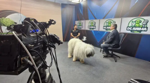 povestea unui caine iubitor ciobanescul mioritic la dc anima video