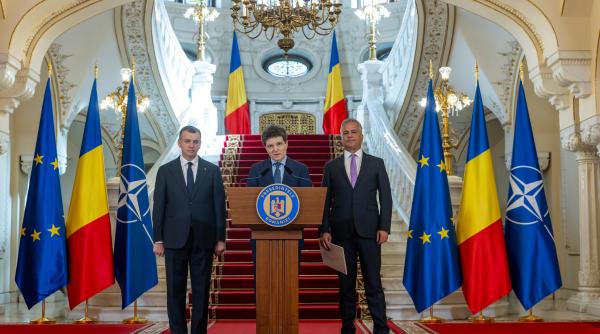 nicusor dan a semnat decretul pentru desemnarea lui adrian vestea ca prim ministru