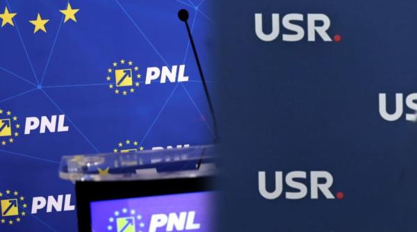 pnl si usr intra miercuri in sedinta