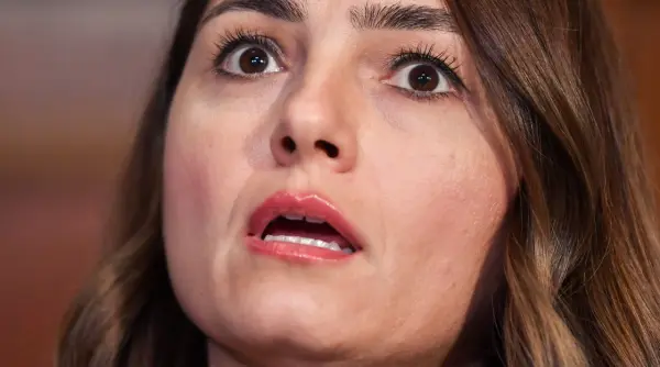 anamaria gavrila pot decizie dupa consultarile cu vestea privind noul guvern am stabilit deja cu nicusor dan